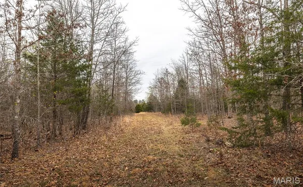 $180,000 | 0 County Road 2660, Mountain View, MO 65548