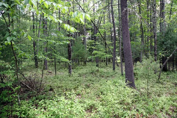 a view of outdoor space and green space