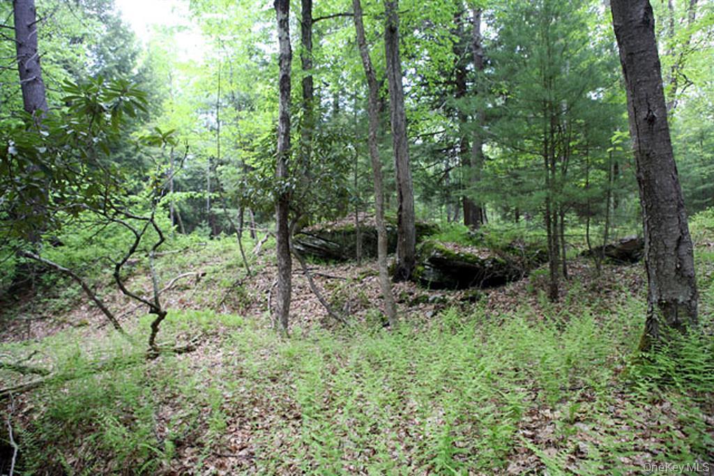 0 Neighborhood Road Shirley, NY 11967 - Photo 3 of 3