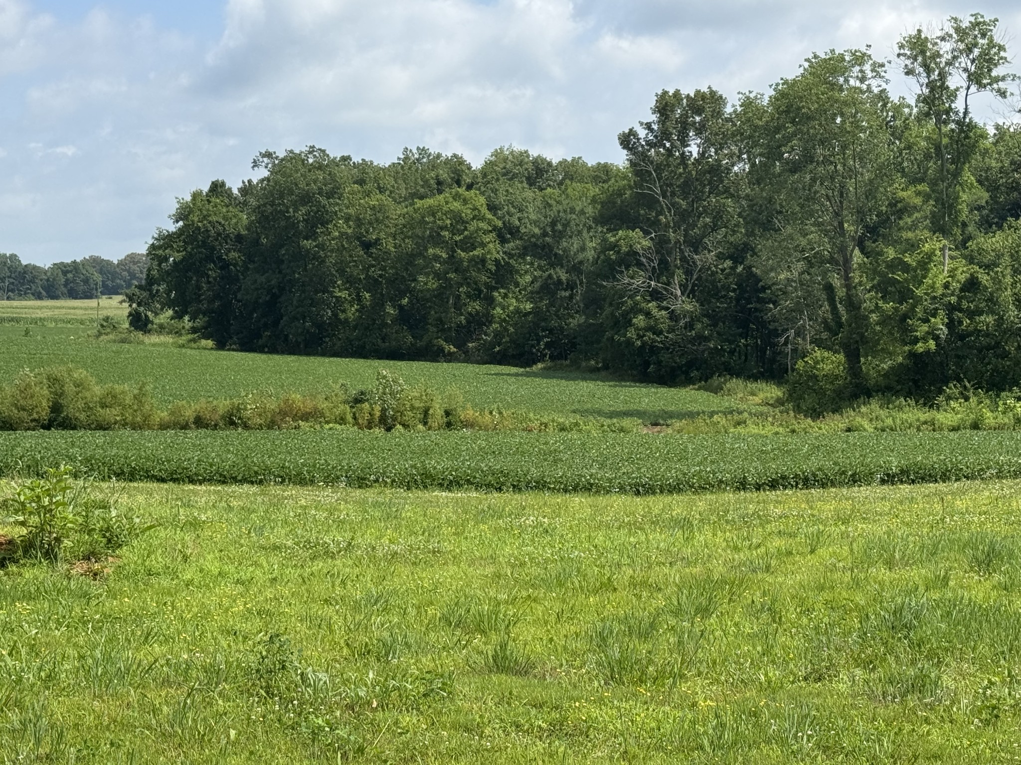 0 Zander Road Hopkinsville, KY 42240 - Photo 7 of 7