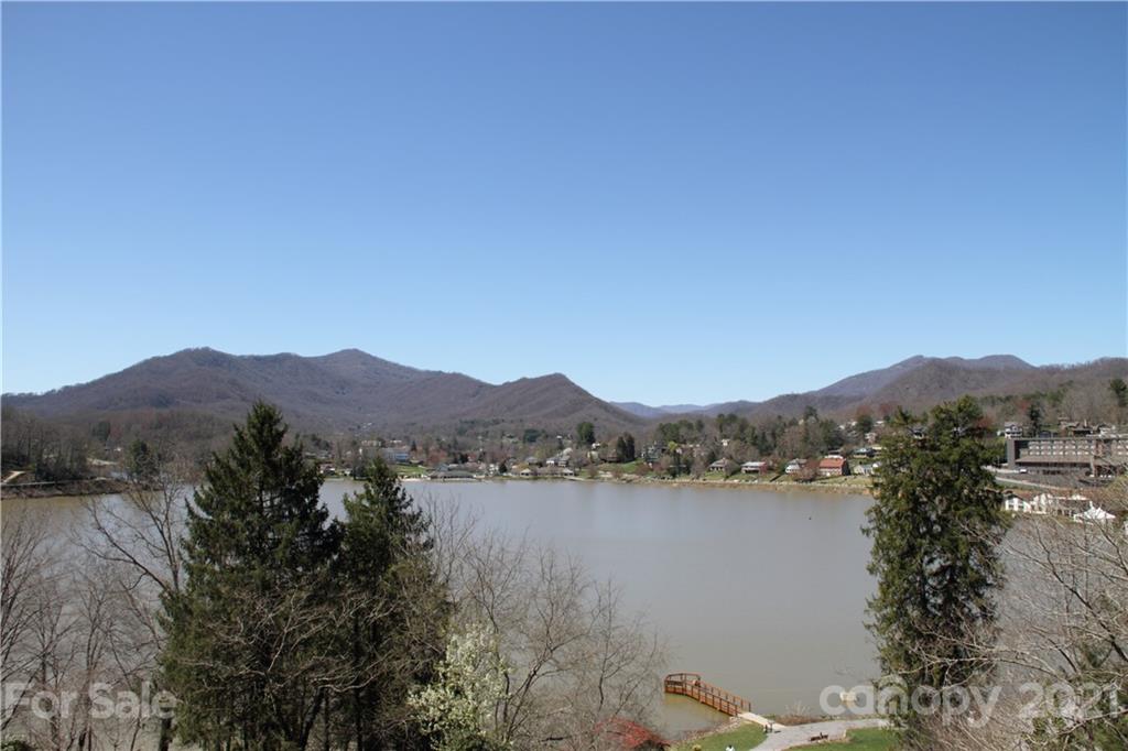 741 County Road Waynesville, NC 28785 - Photo 33 of 42 a view of lake with mountain