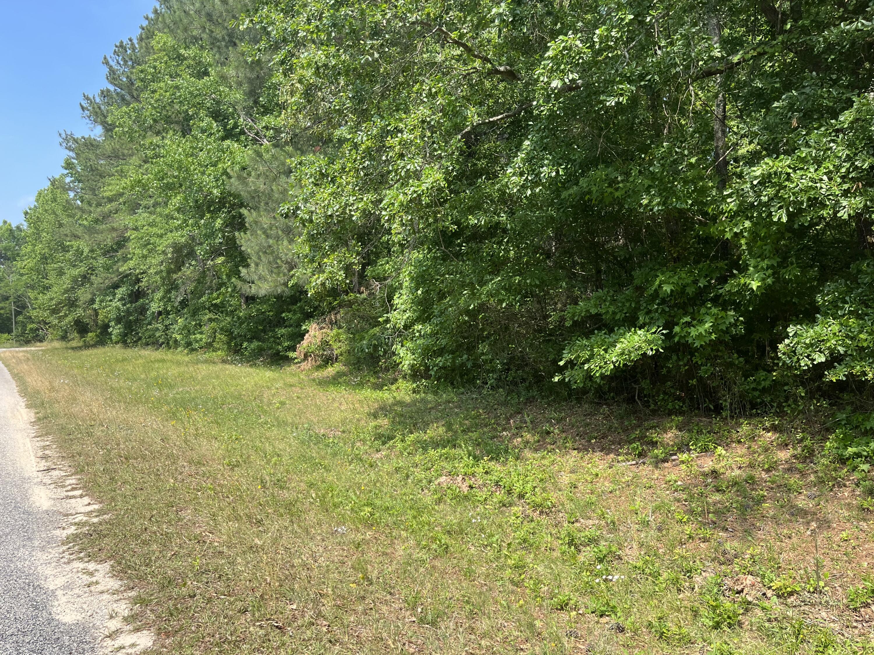 691 Byrd Road Harlem, GA 30814 - Photo 1 of 1 One Acre lot in a quiet neighborhood.