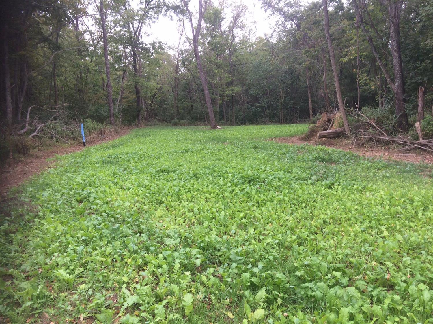 69.420-ac Maynard Road Ripley, OH 45167 - Photo 1 of 1