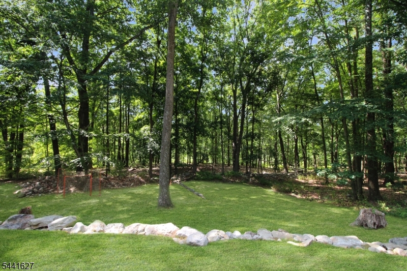 3 Frog Pond Road Blairstown, NJ 07832 - Photo 25 of 30