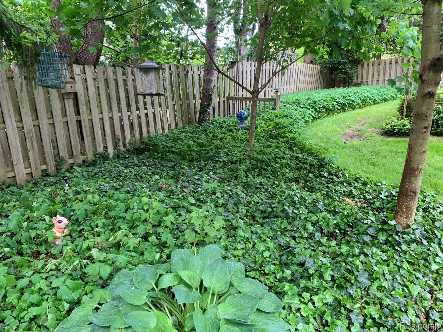 739 Wilwood Road Rochester, MI 48309 - Photo 98 of 99 RearYard (1).jpg