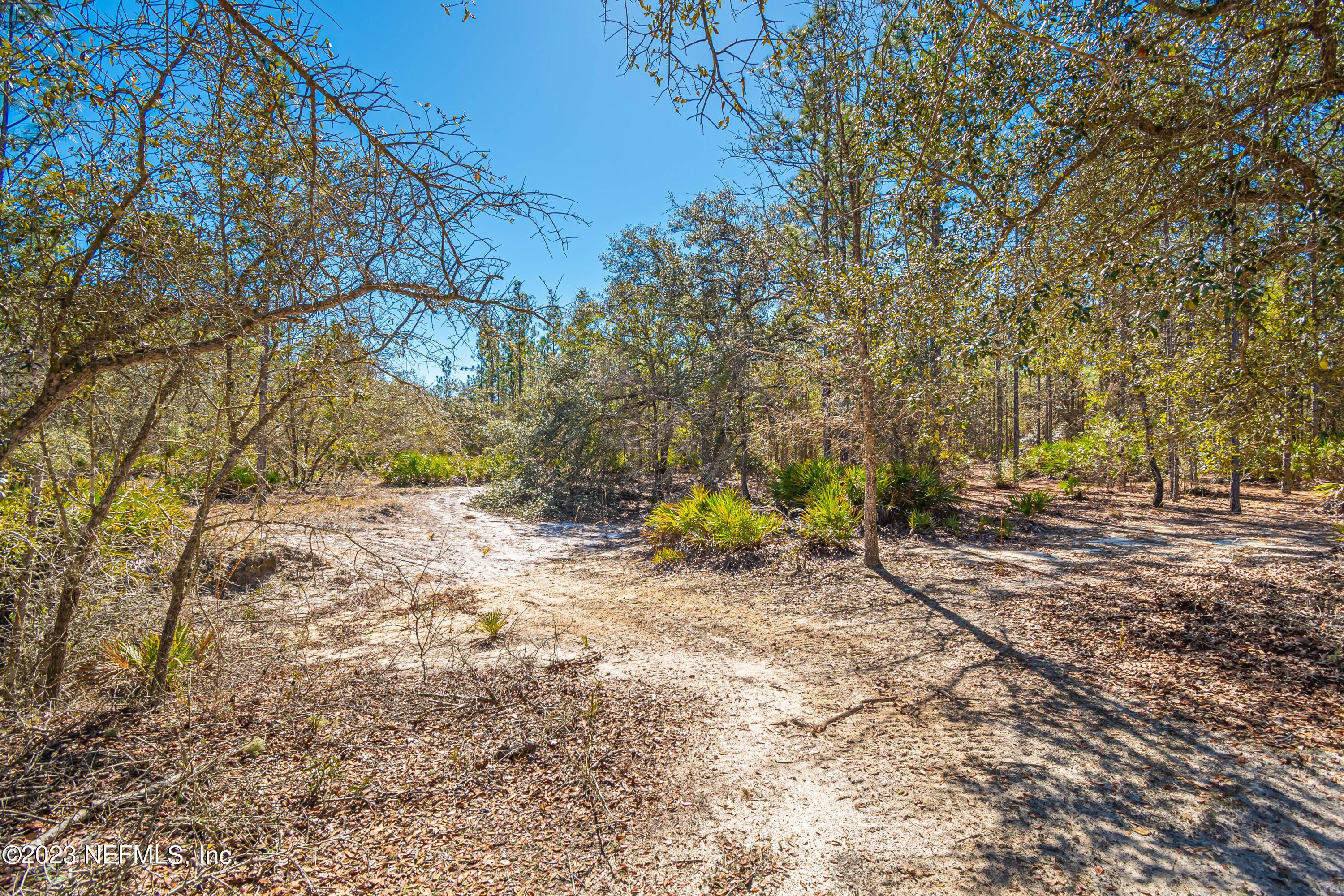 Lot 13 Steel Bridge Road Macclenny, FL 32063 - Photo 11 of 15 untitled-3793