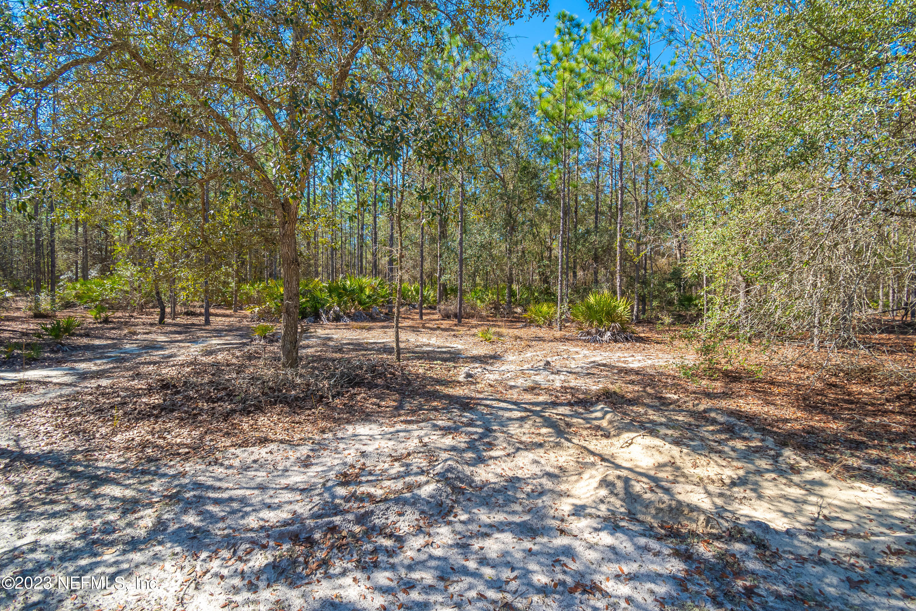 Lot 13 Steel Bridge Road Macclenny, FL 32063 - Photo 12 of 15 untitled-3794