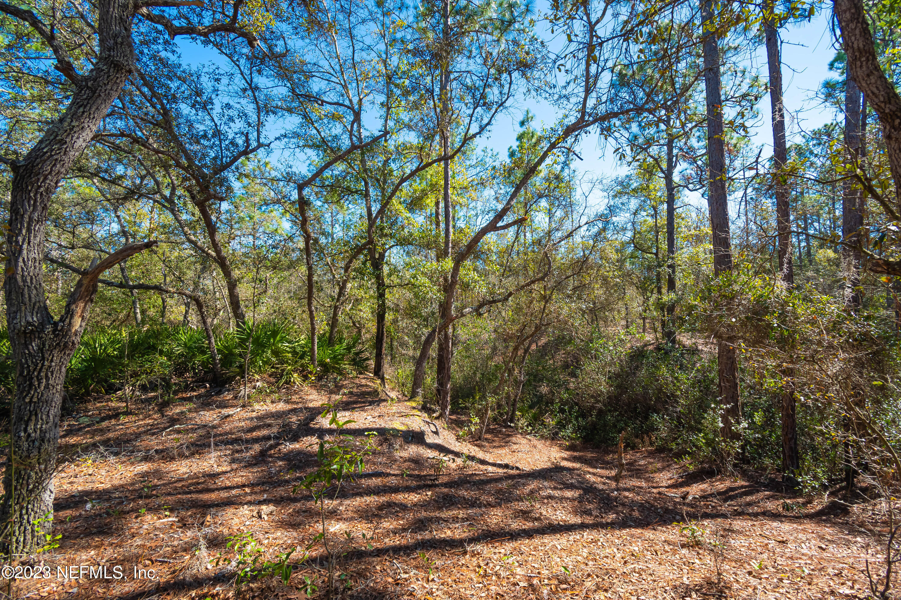 Lot 13 Steel Bridge Road Macclenny, FL 32063 - Photo 3 of 15 untitled-3788