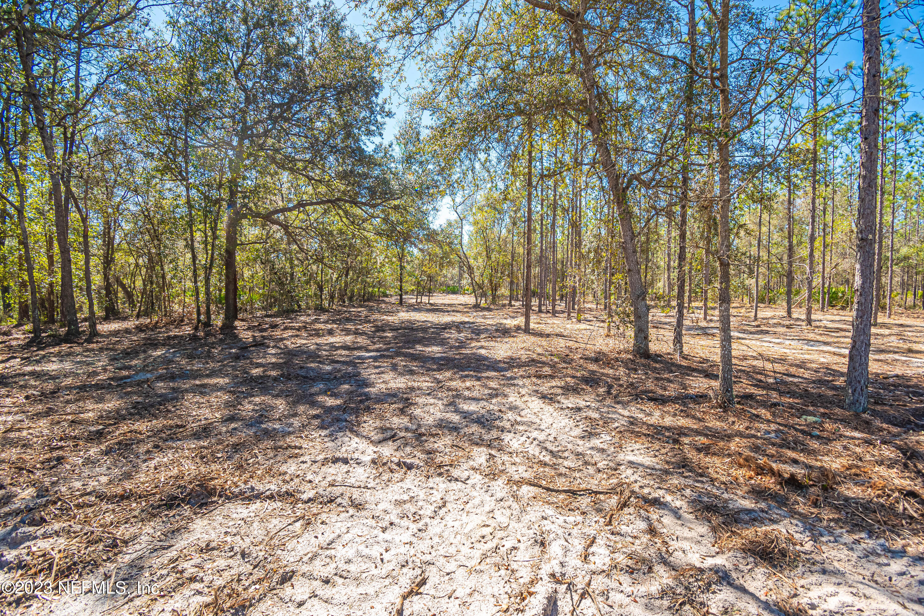 Lot 13 Steel Bridge Road Macclenny, FL 32063 - Photo 4 of 15 untitled-3778