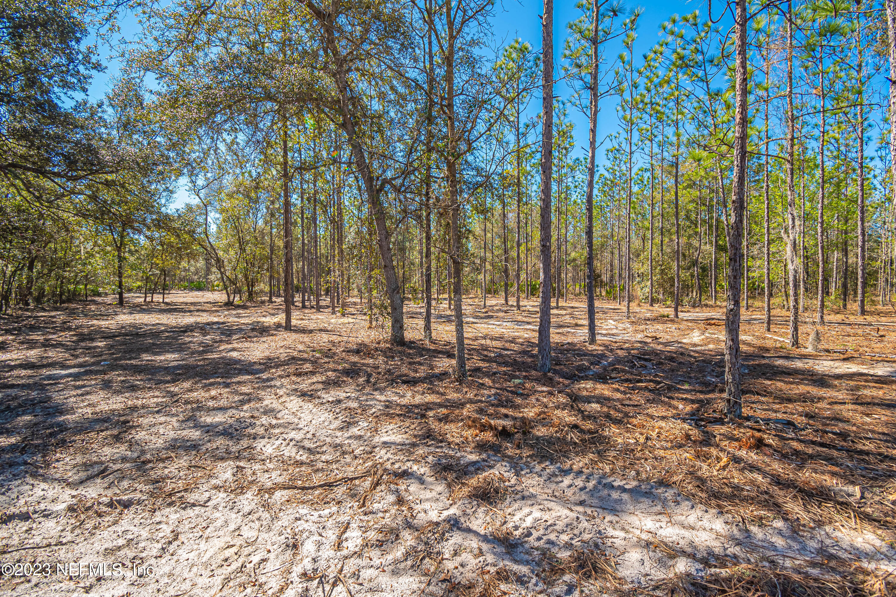 Lot 13 Steel Bridge Road Macclenny, FL 32063 - Photo 7 of 15 untitled-3780