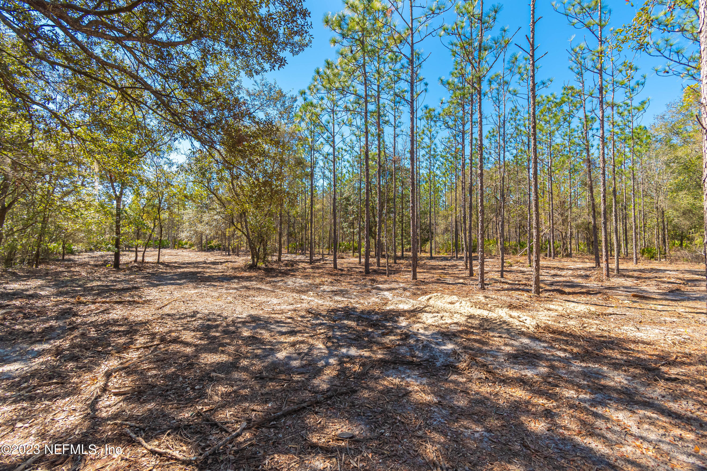 Lot 13 Steel Bridge Road Macclenny, FL 32063 - Photo 8 of 15 untitled-3783