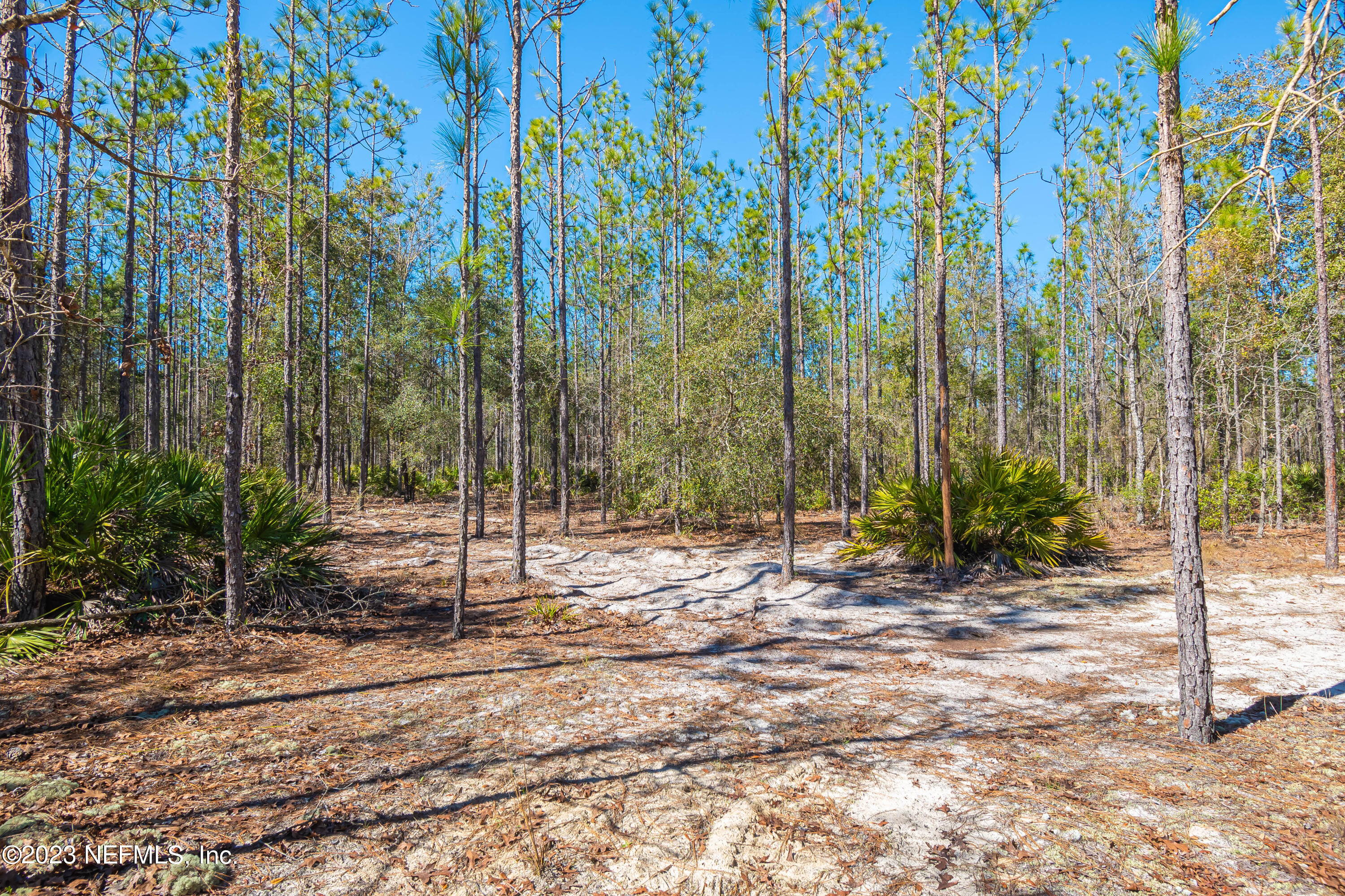 Lot 13 Steel Bridge Road Macclenny, FL 32063 - Photo 9 of 15 untitled-3791