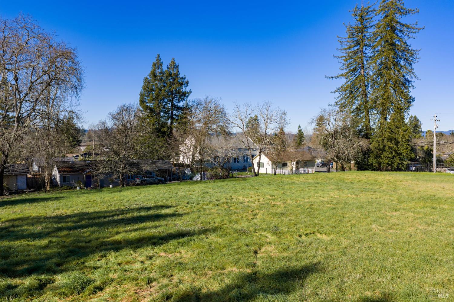 8877 Donald Street Sebastopol, CA 95472 - Photo 26 of 55 a view of a grassy field with trees