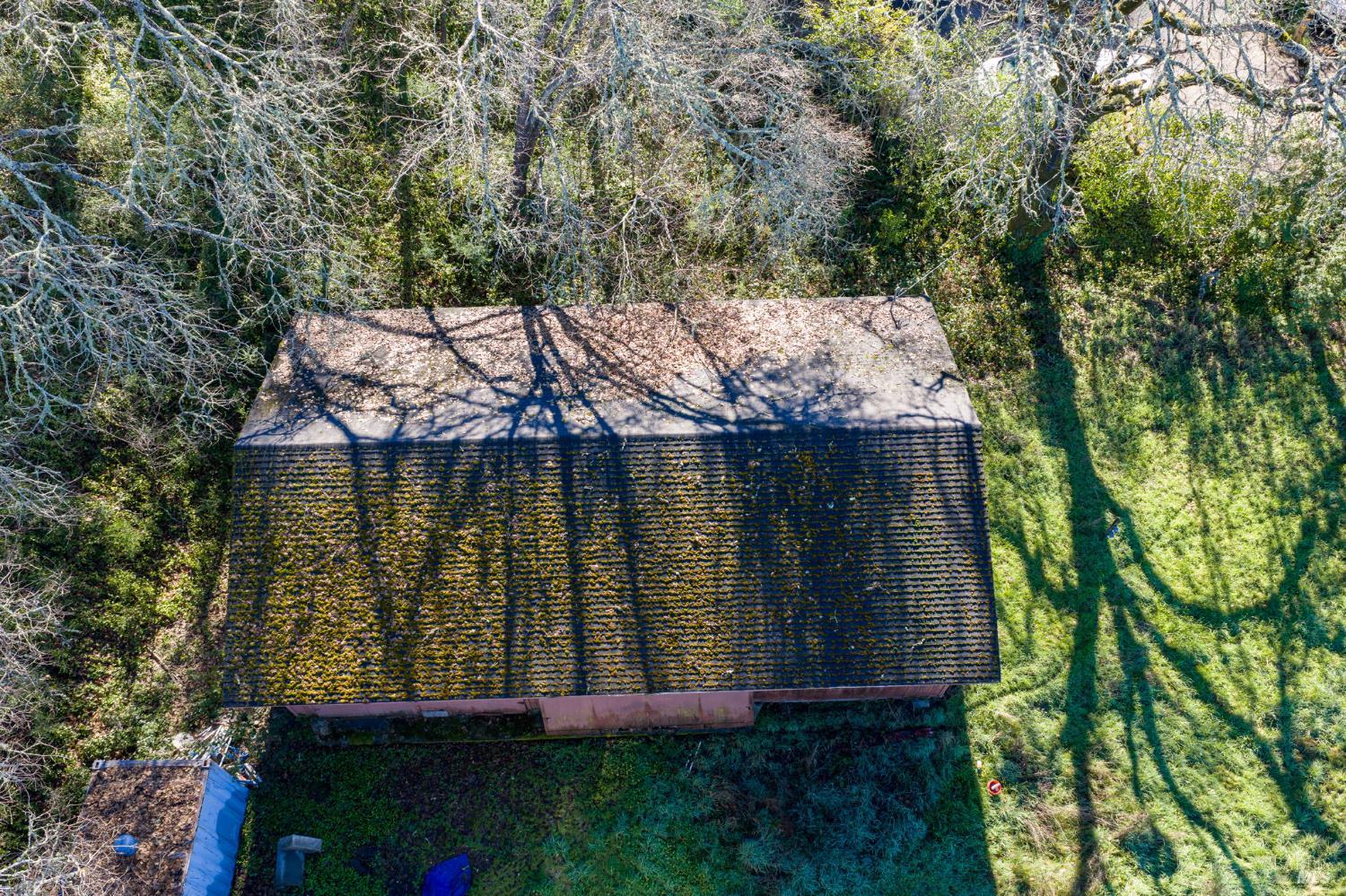 8877 Donald Street Sebastopol, CA 95472 - Photo 33 of 55 a view of outdoor space and yard