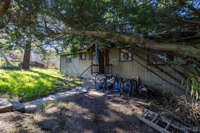 a view of a yard with a tree