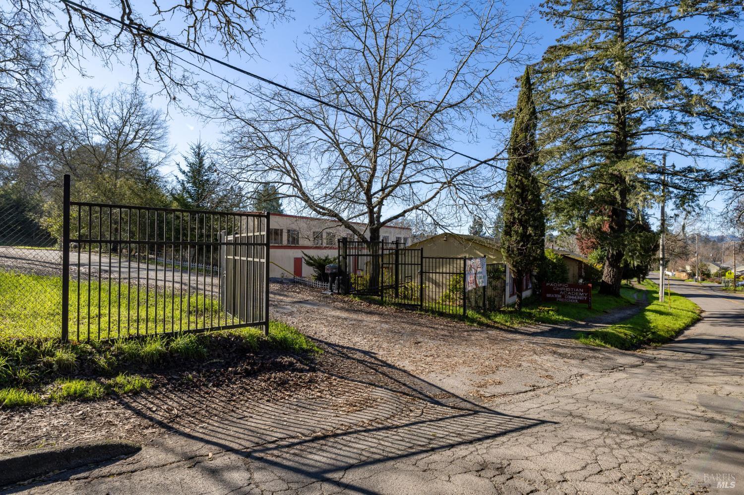 8877 Donald Street Sebastopol, CA 95472 - Photo 36 of 55 a view of a park with a large tree