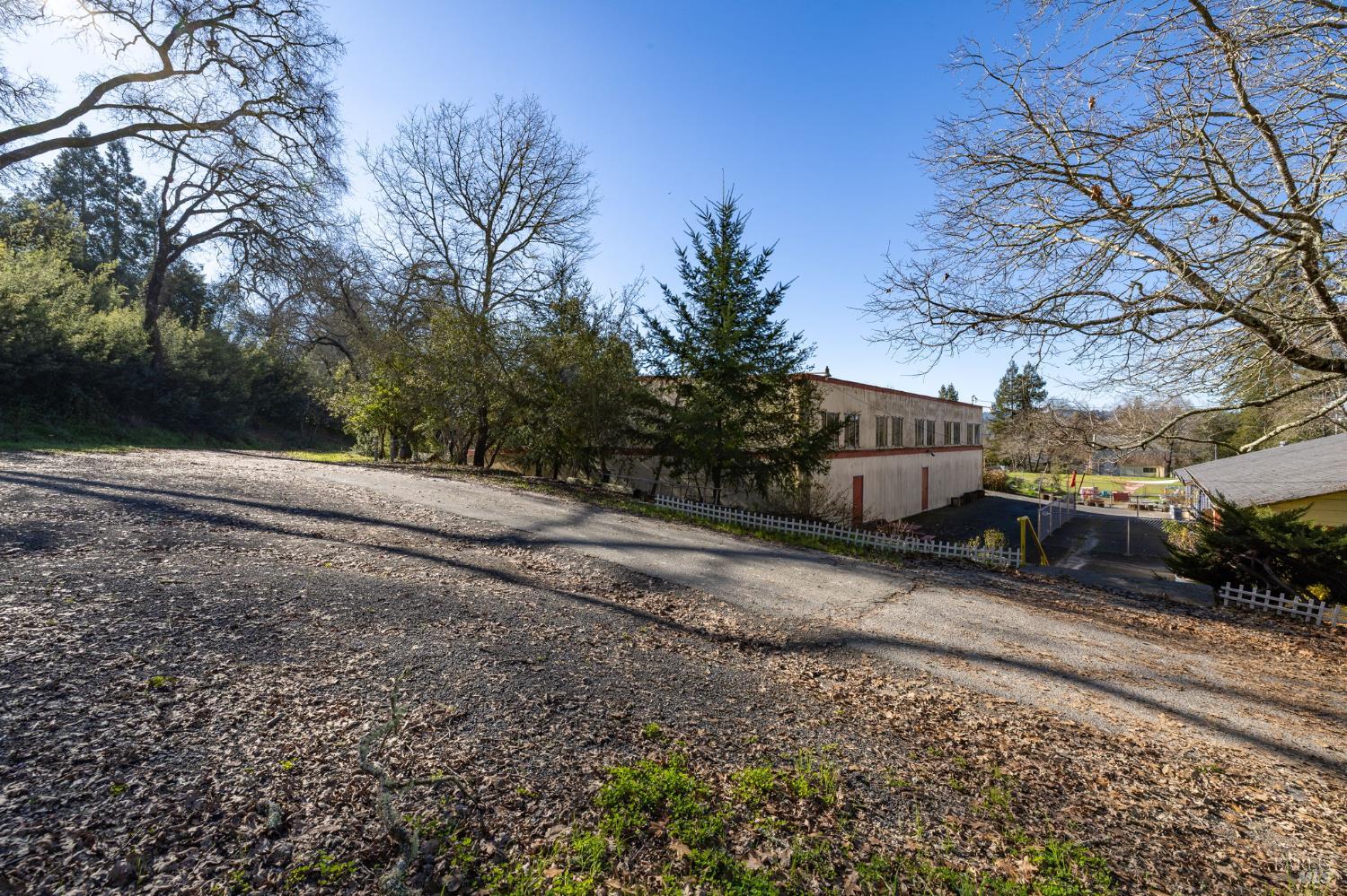 8877 Donald Street Sebastopol, CA 95472 - Photo 37 of 55 a view of a yard with a tree