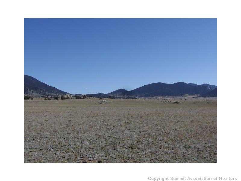 11062 Jackson Road Hartsel, CO 80449 - Photo 3 of 9