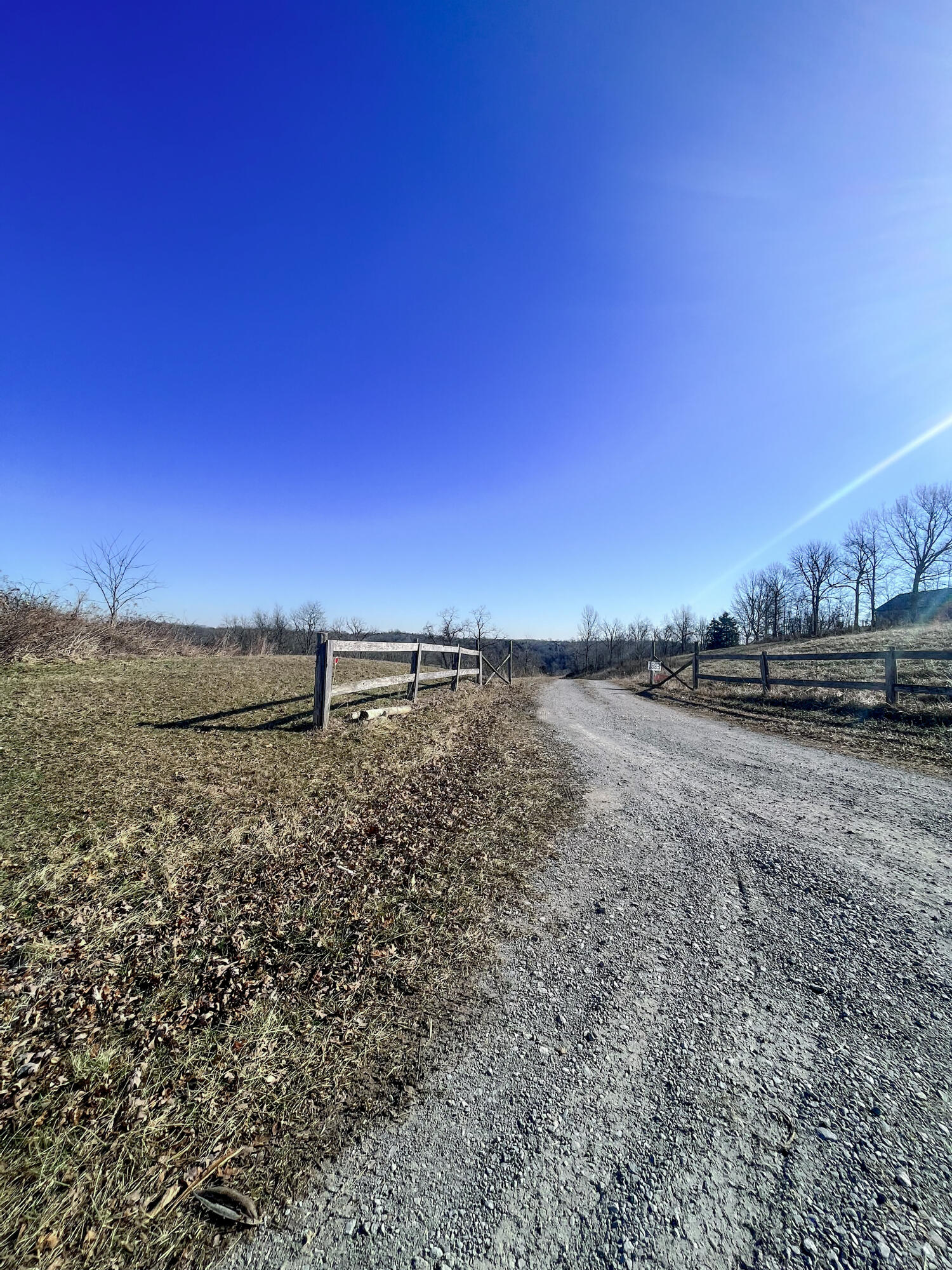 1883 Ogden Ridge Road Mount Olivet, KY 41064 - Photo 3 of 19 Drive from Road
