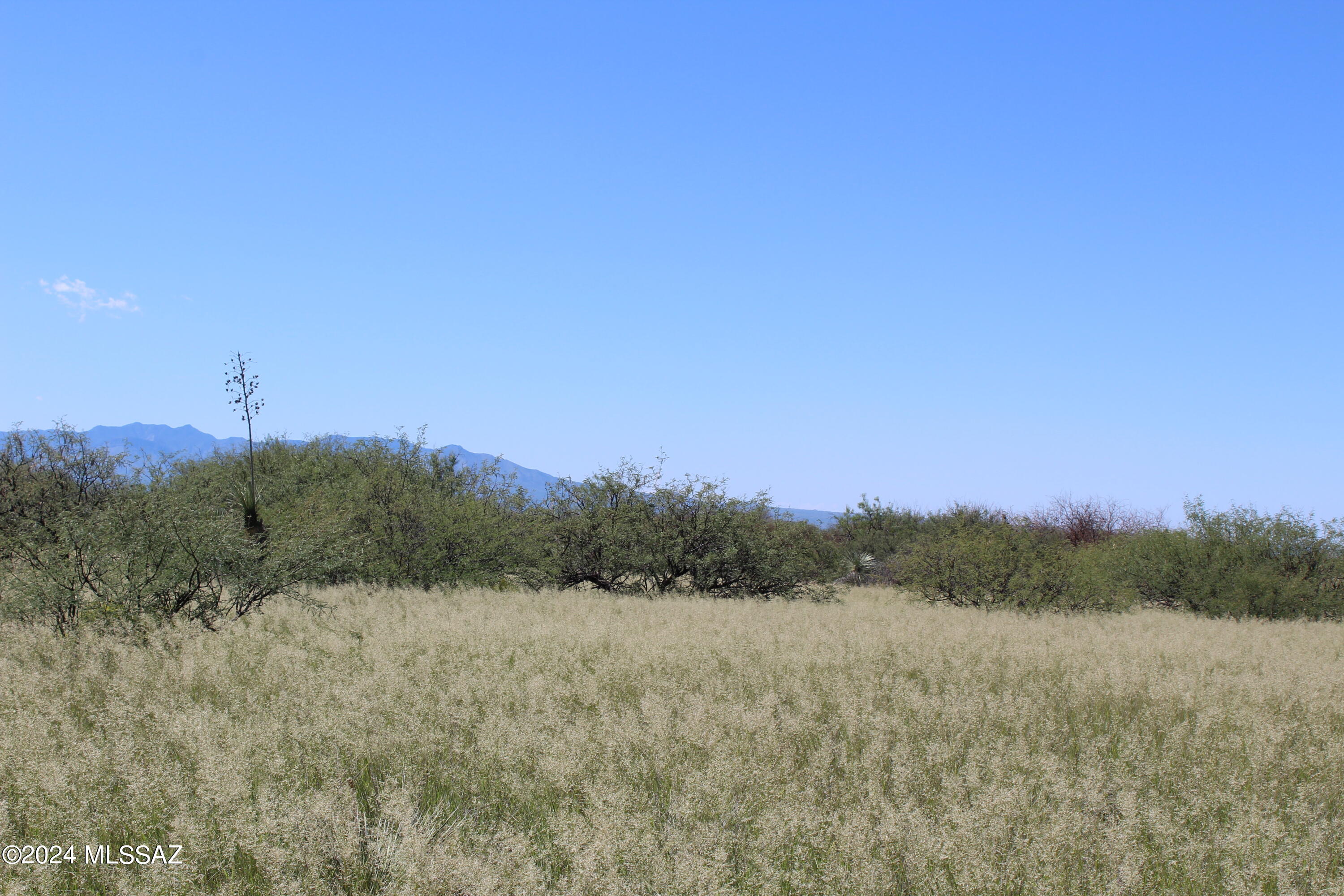 Tbd East Naiche Road, Unit 56 St. David, AZ 85630 - Photo 12 of 17