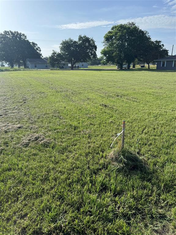 0 L B J Ranch Road Trinidad, TX 75163 - Photo 2 of 4 View of lot from the back of the lot