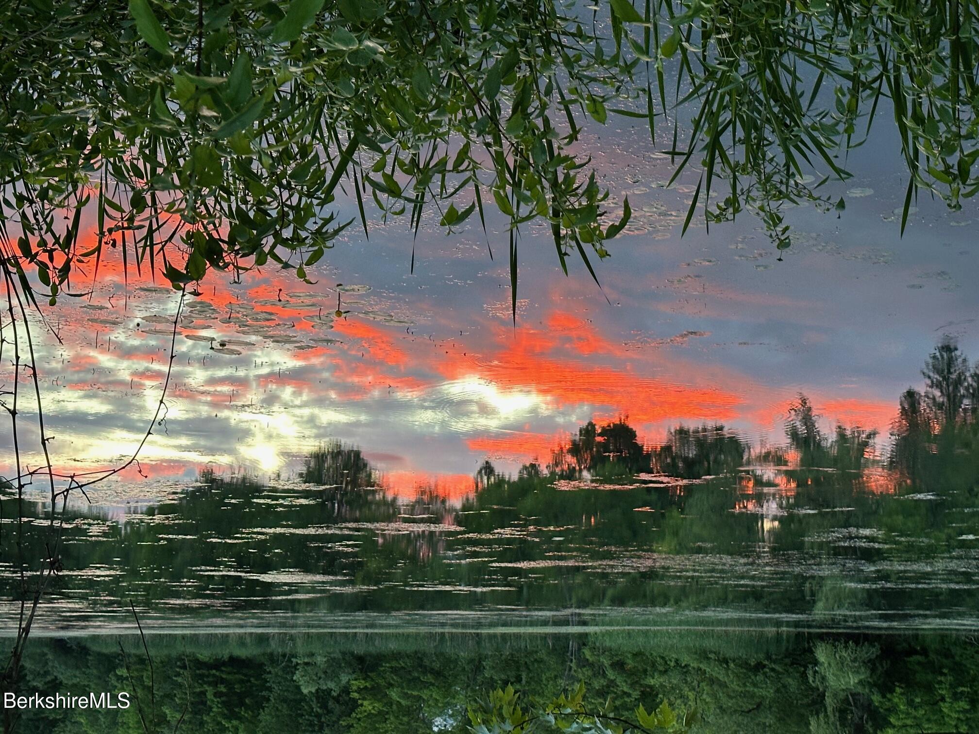 3-5 Swamp Road West Stockbridge, MA 01266 - Photo 25 of 37 a view of a big yard with a large tree