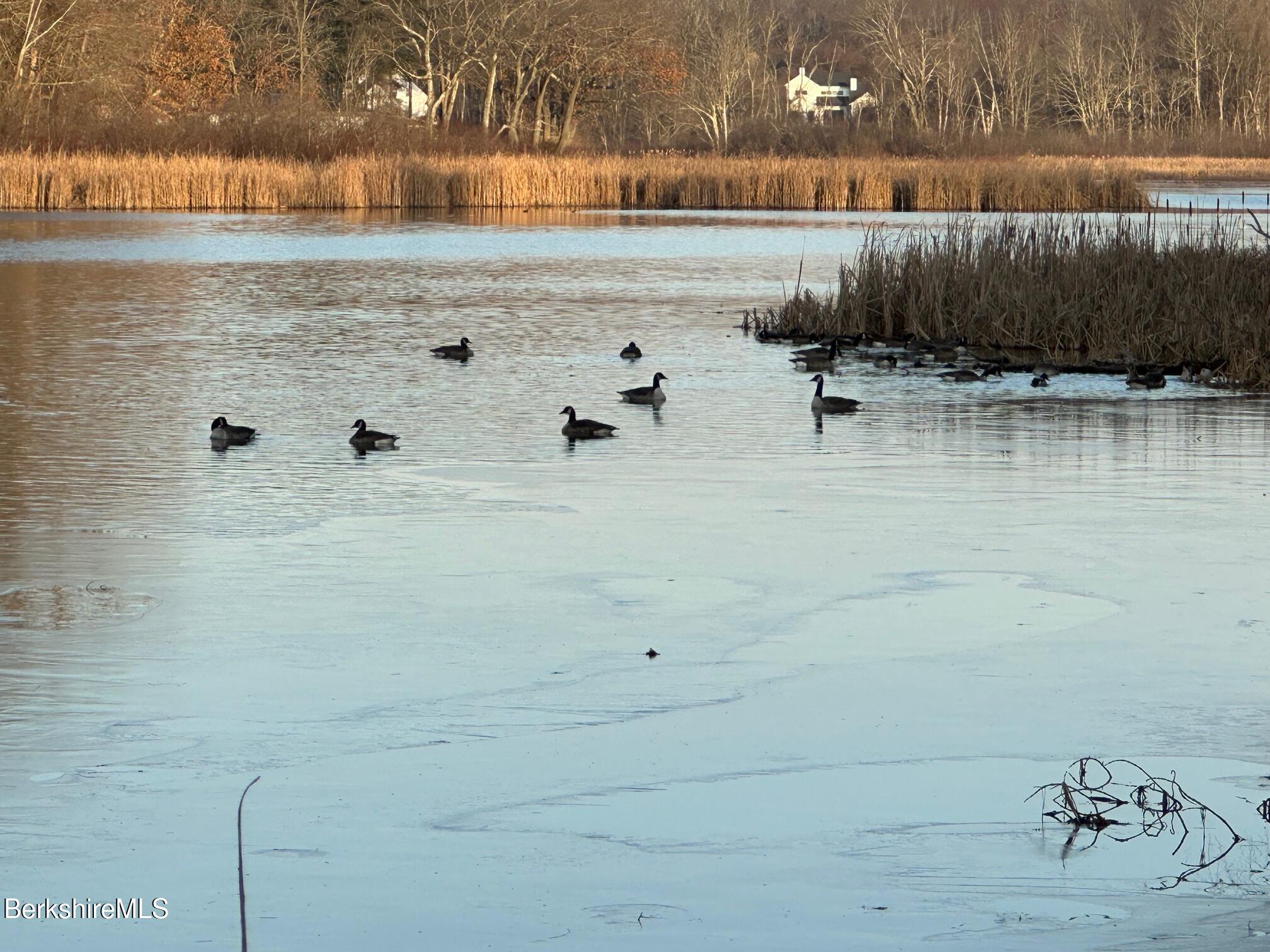 3-5 Swamp Road West Stockbridge, MA 01266 - Photo 26 of 37 a view of a lake