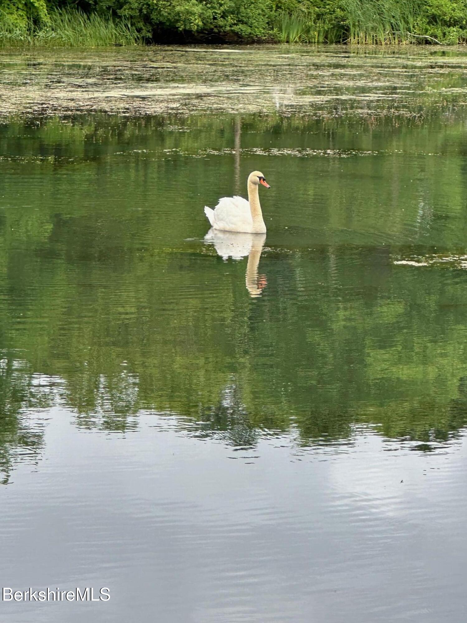 3-5 Swamp Road West Stockbridge, MA 01266 - Photo 27 of 37 a lake view with a lake view