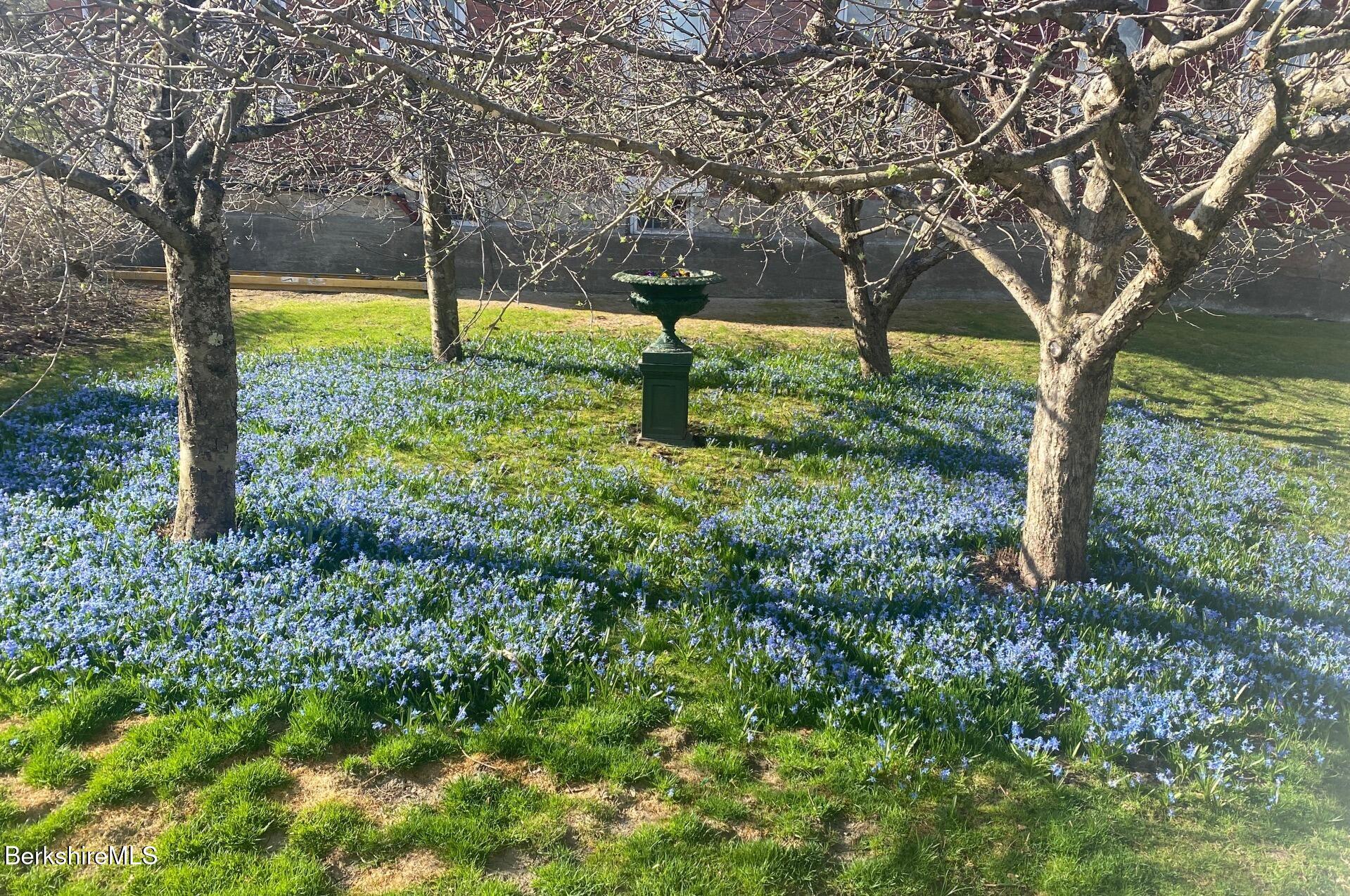 3-5 Swamp Road West Stockbridge, MA 01266 - Photo 28 of 37 a backyard of a house with swimming pool and large trees