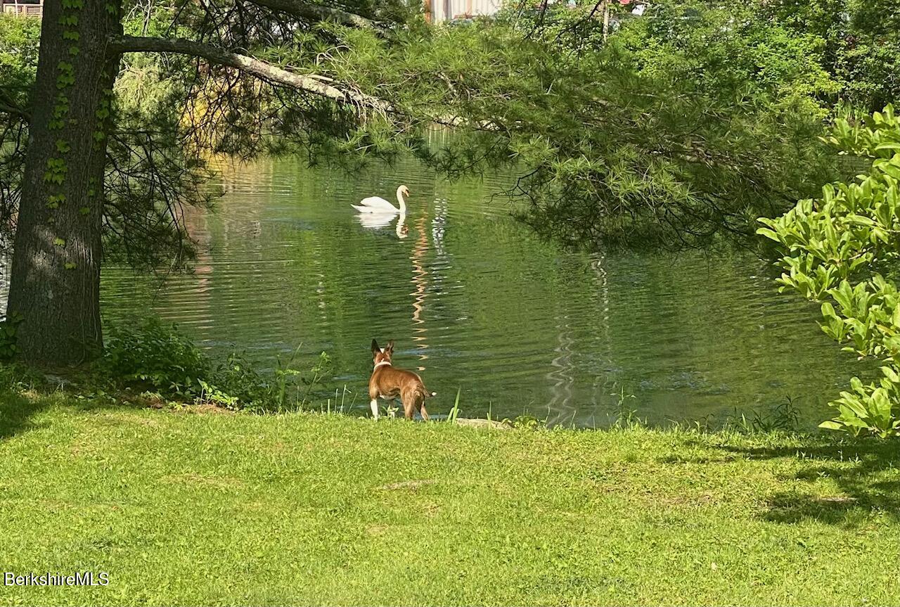 3-5 Swamp Road West Stockbridge, MA 01266 - Photo 29 of 37 a view of a lake from a yard