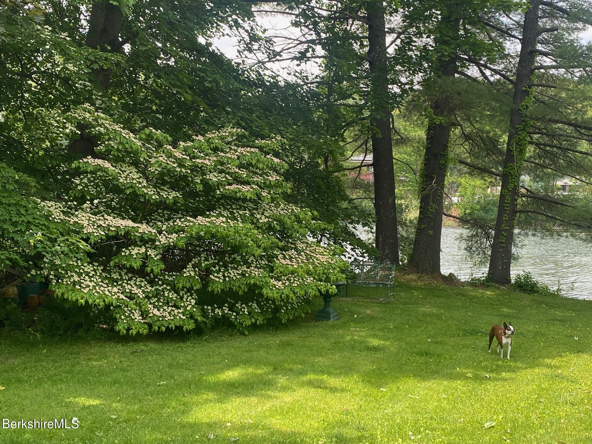 3-5 Swamp Road West Stockbridge, MA 01266 - Photo 30 of 37 a view of a trees in a yard