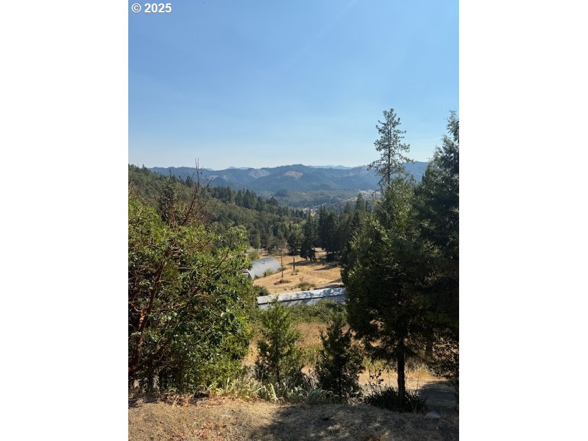 1604 Spring Brook Road Myrtle Creek, OR 97457 - Photo 15 of 47 View