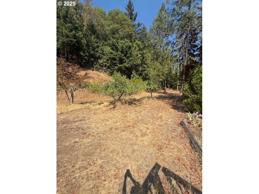 1604 Spring Brook Road Myrtle Creek, OR 97457 - Photo 28 of 47 Guest Quarters