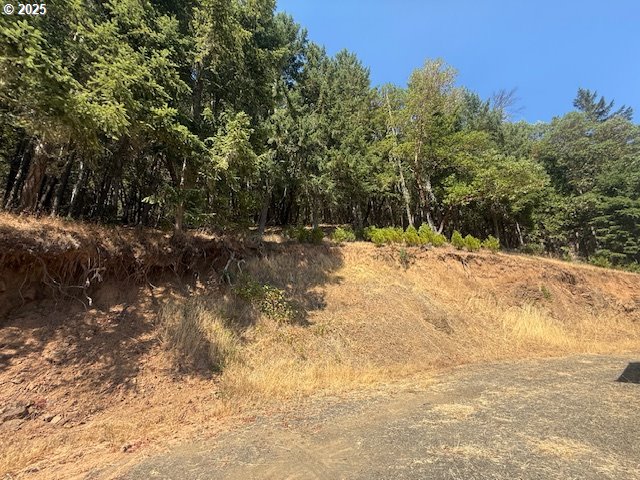 1604 Spring Brook Road Myrtle Creek, OR 97457 - Photo 31 of 47 Driveway