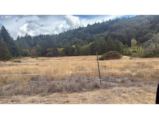 1604 Spring Brook Road Myrtle Creek, OR 97457 - Photo 38 of 47 Pasture