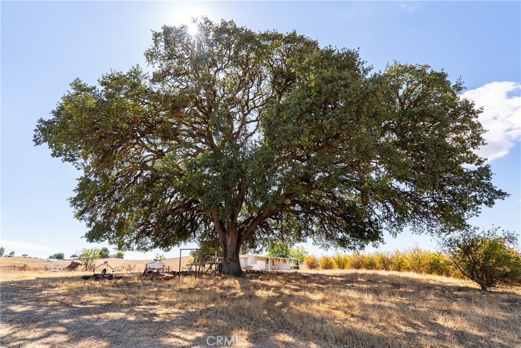 27 Wellsona Road Paso Robles, CA 93446 - Photo 1 of 1 Gallery Image 1