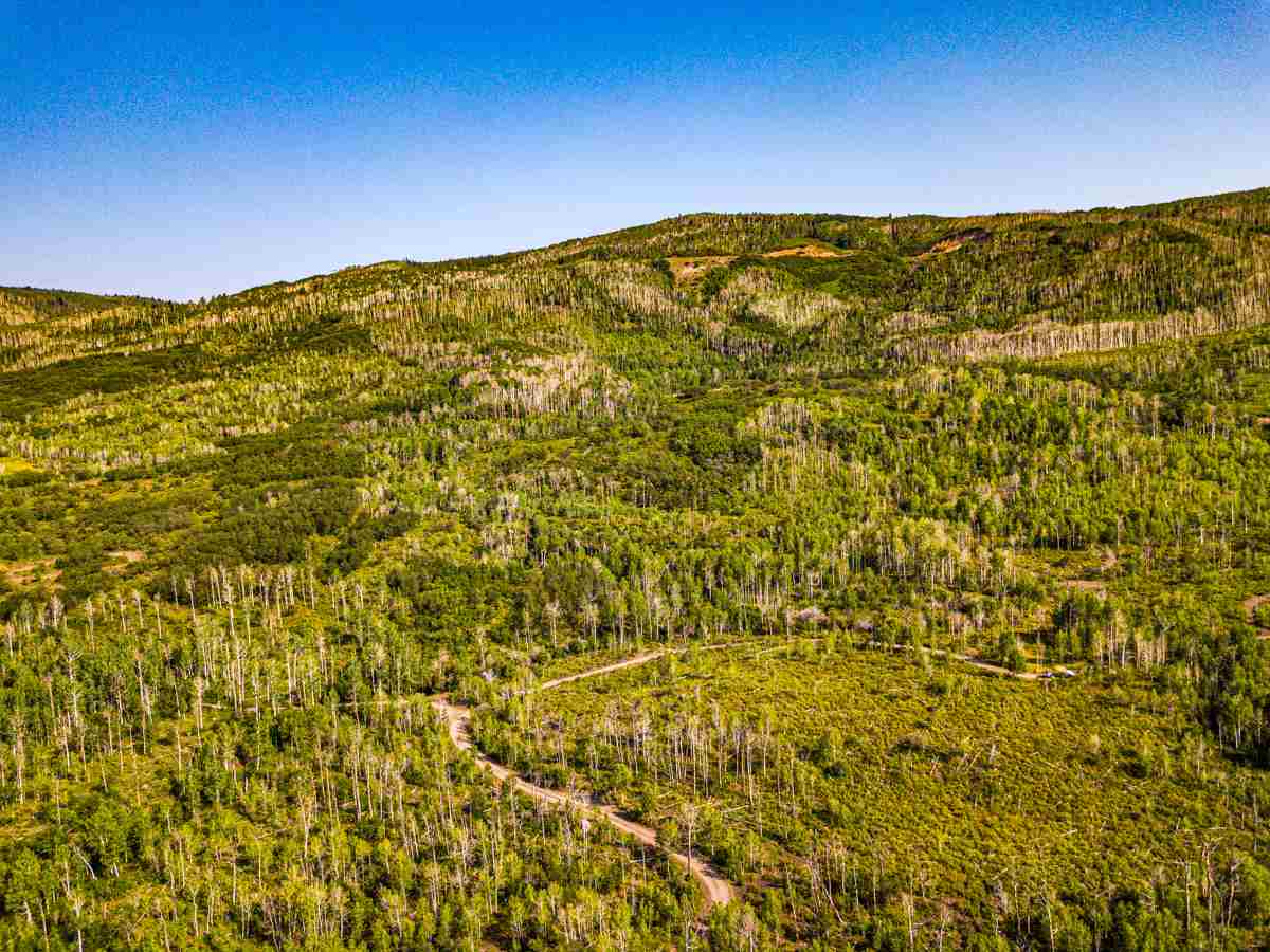a view of a large window with an outdoor space