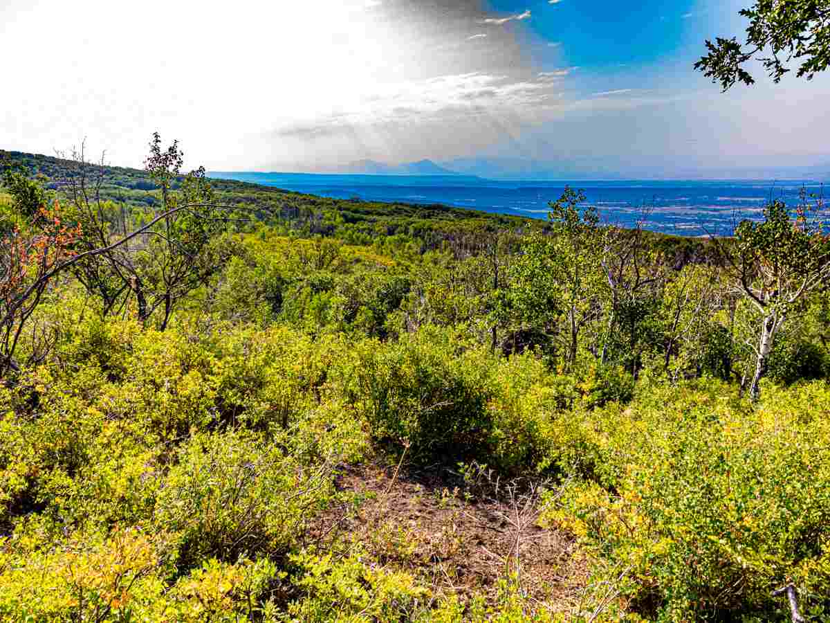Tbd Tbd Aspen Hills Road Cedaredge, CO 81413 - Photo 12 of 23 a view of a room with wooden fence