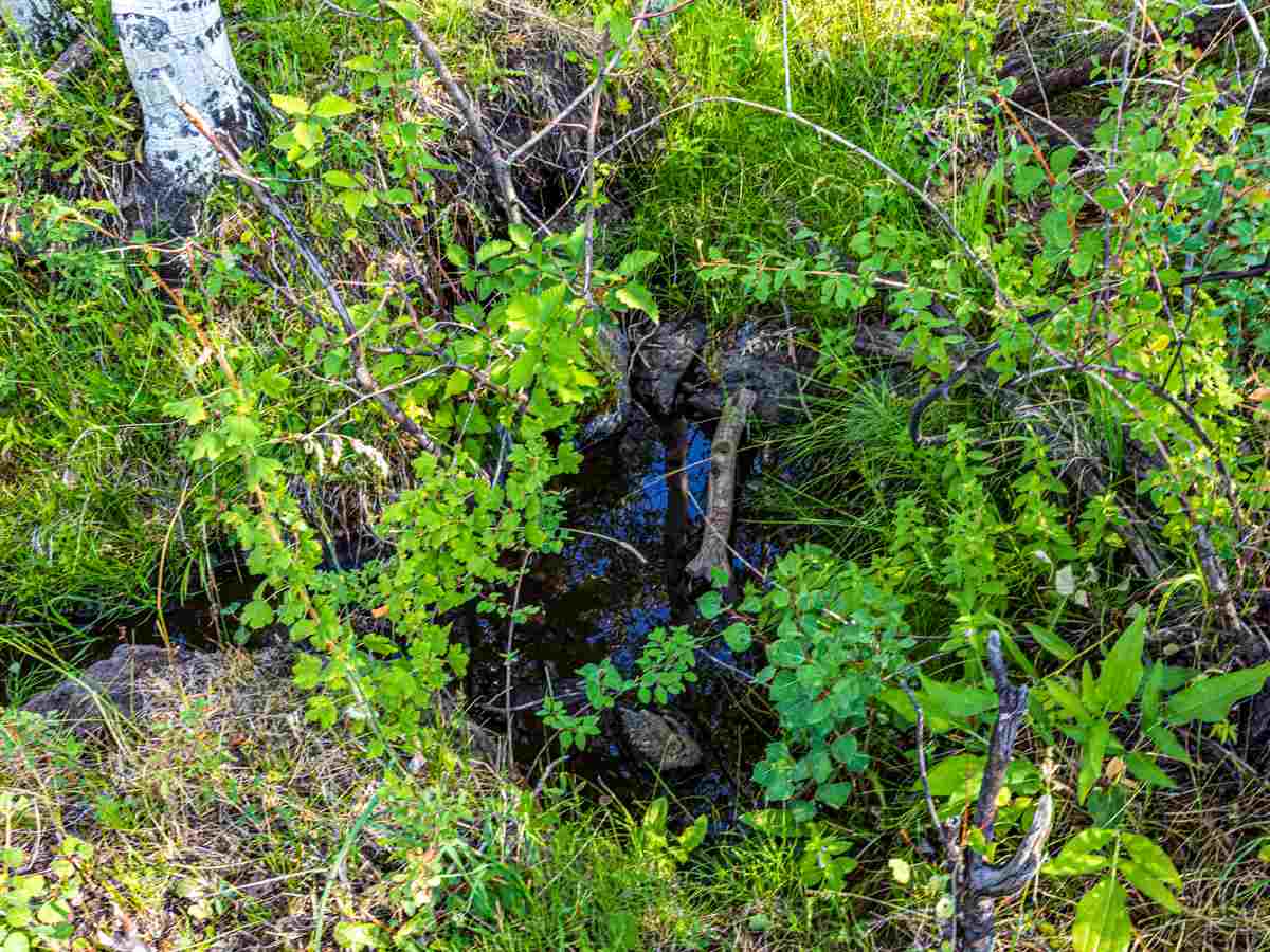 Tbd Tbd Aspen Hills Road Cedaredge, CO 81413 - Photo 13 of 23 a backyard of a house with lots of green space and a lake view