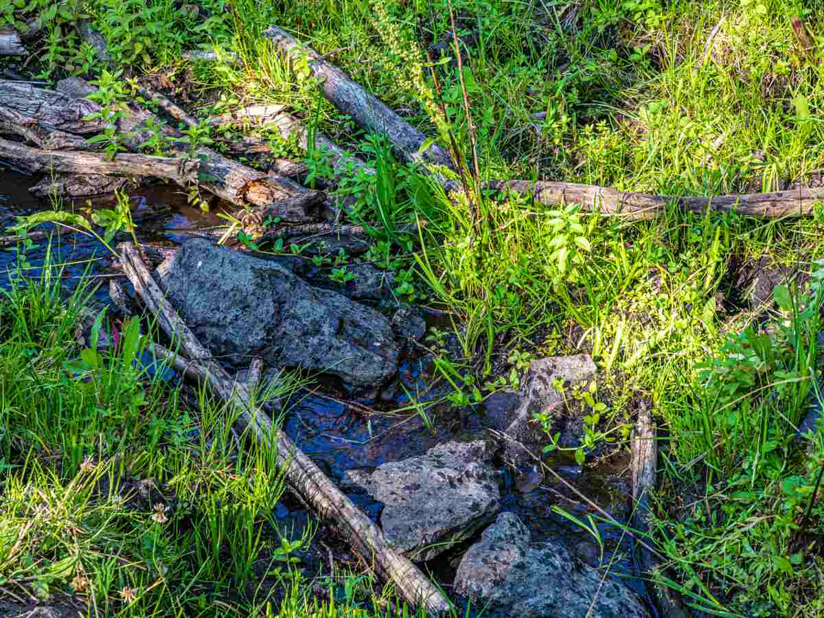 Tbd Tbd Aspen Hills Road Cedaredge, CO 81413 - Photo 16 of 23 a view of a garden with a tree