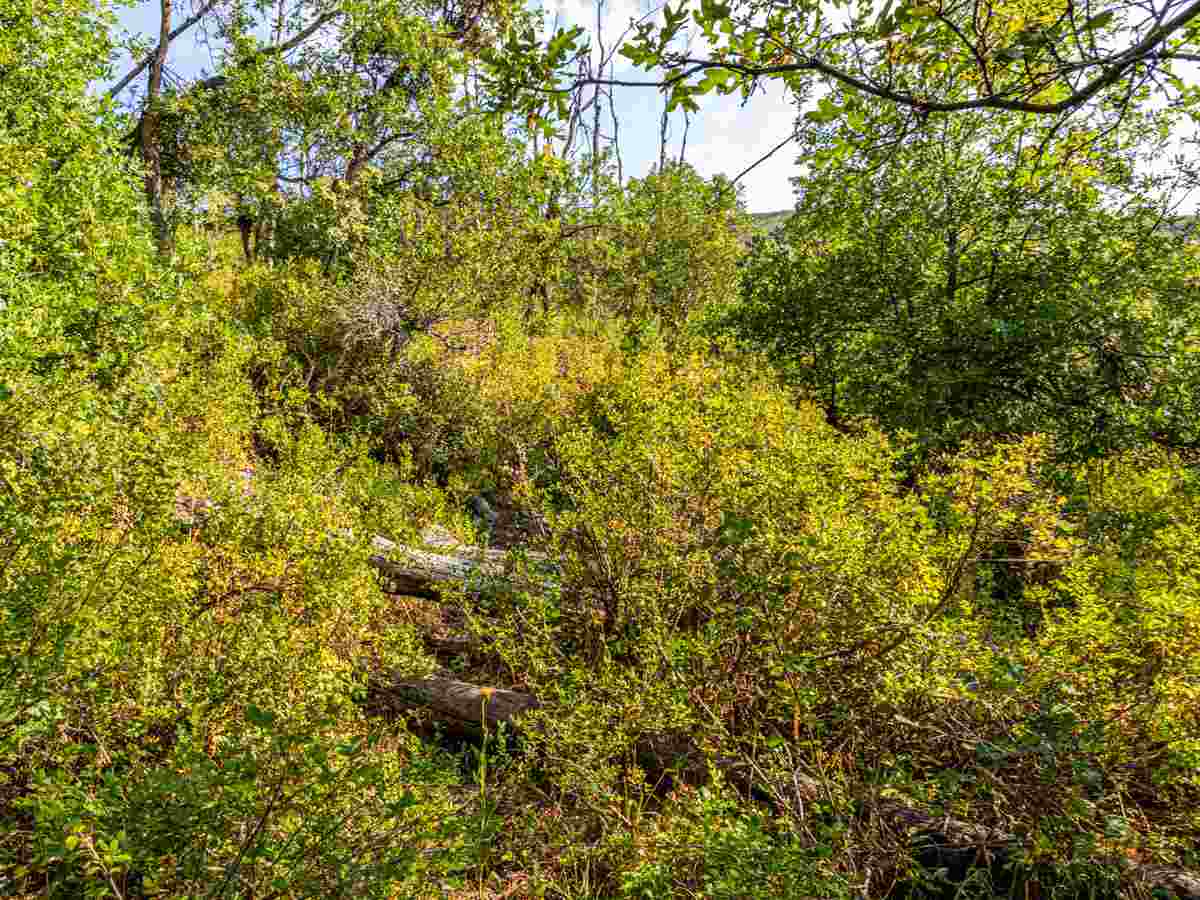 Tbd Tbd Aspen Hills Road Cedaredge, CO 81413 - Photo 17 of 23 a view of a lake with a tree in the background