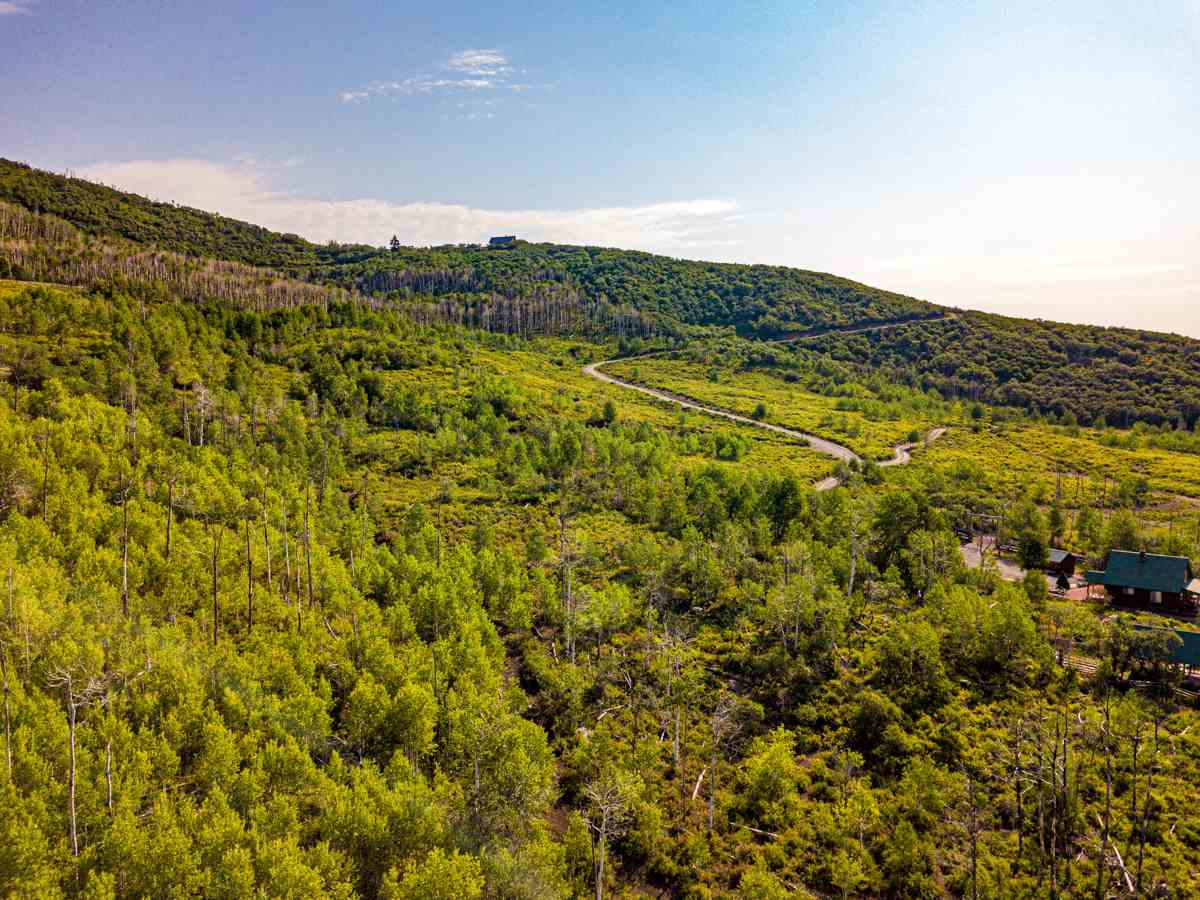Tbd Tbd Aspen Hills Road Cedaredge, CO 81413 - Photo 5 of 23 a view of a field with mountains in the background