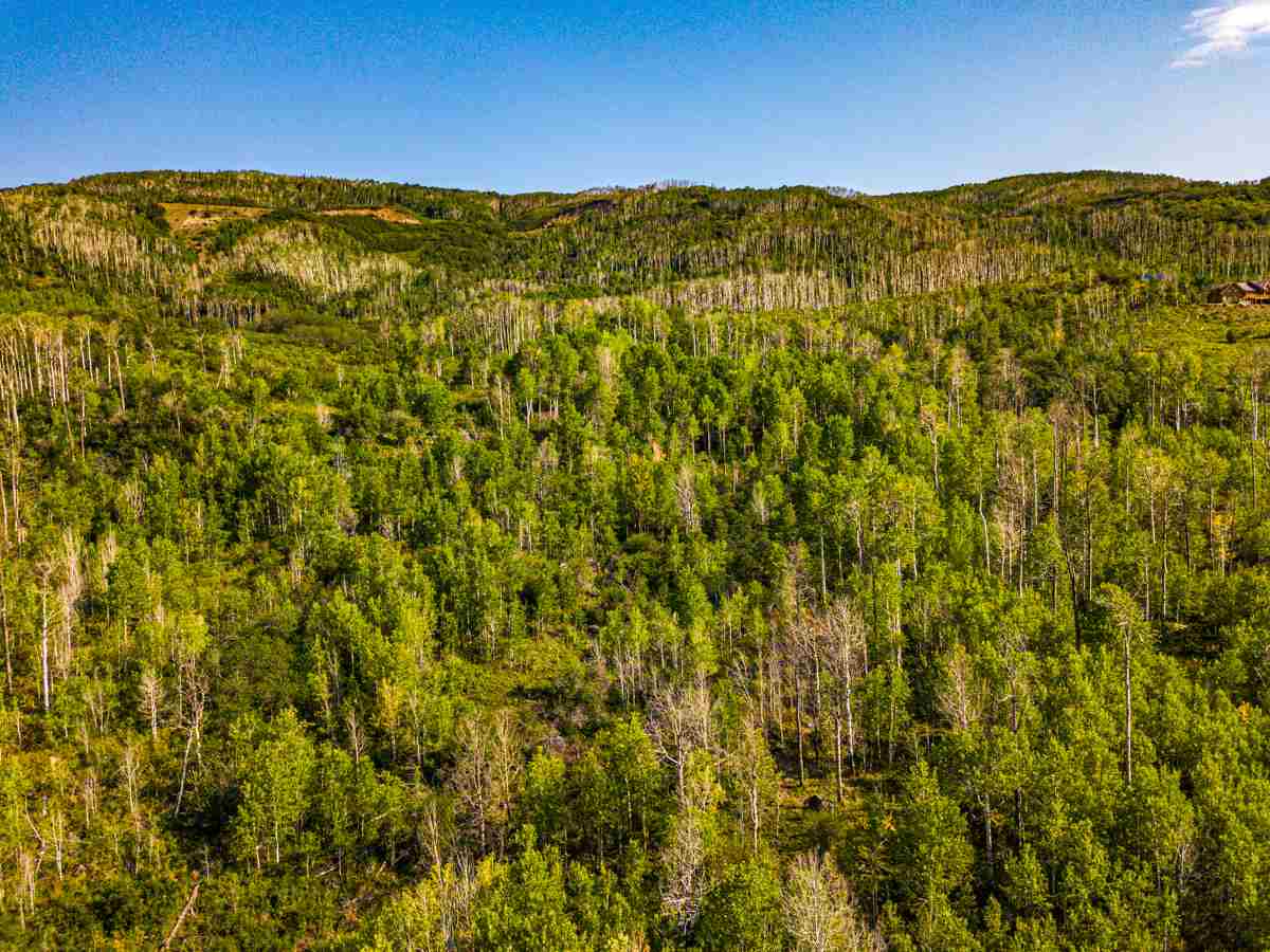 Tbd Tbd Aspen Hills Road Cedaredge, CO 81413 - Photo 6 of 23 a view of a large mountains