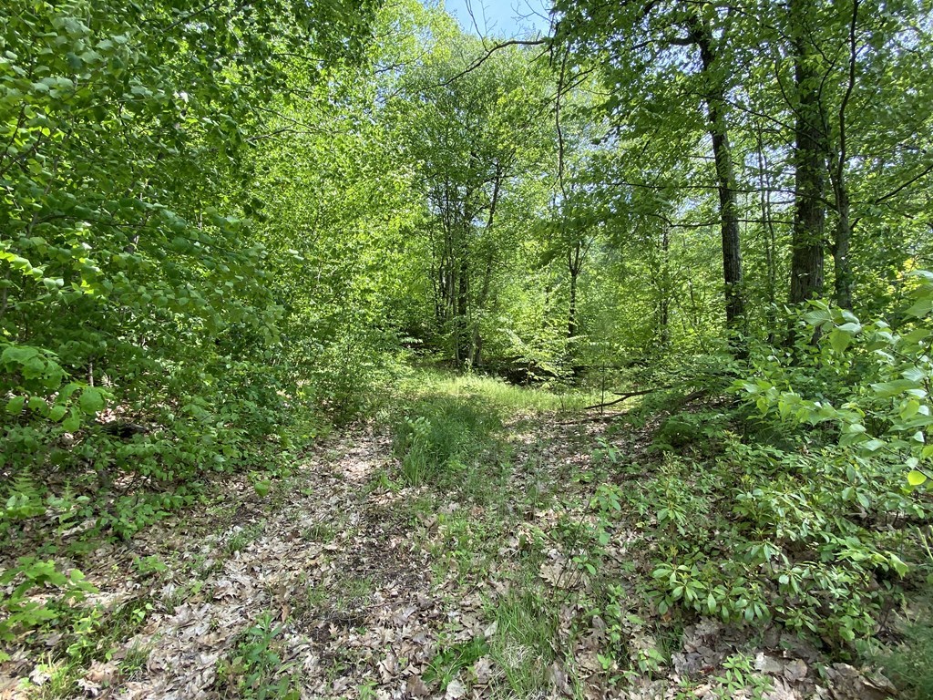 0 Farley Road Wendell, MA 01379 - Photo 1 of 7 Gallery Image 1