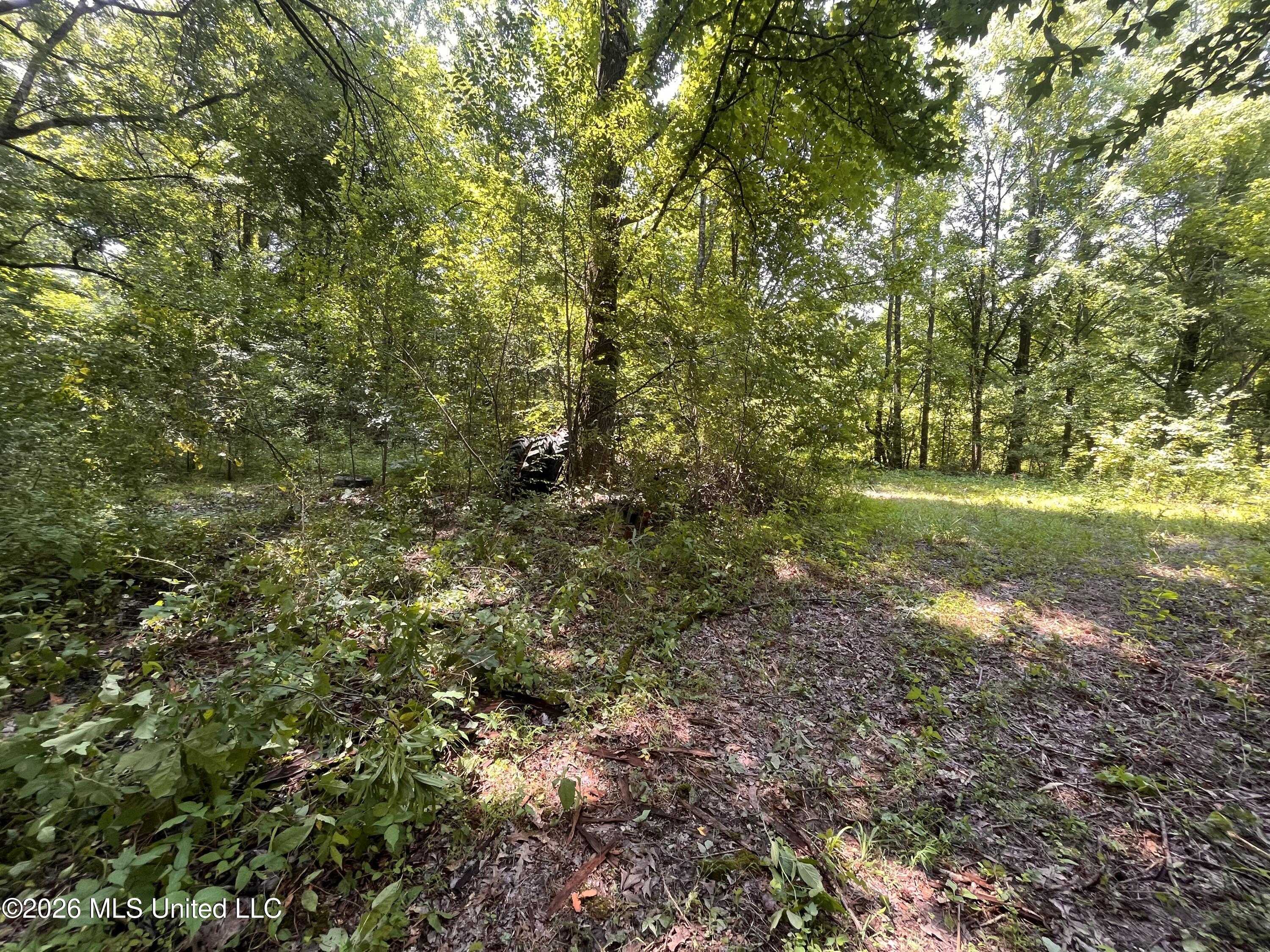53 Lenzi Road Byhalia, MS 38611 - Photo 13 of 17 IMG_5843