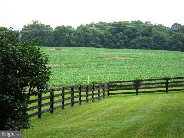 116 Stringtown Road Berryville, VA 22611 - Photo 2 of 29 View