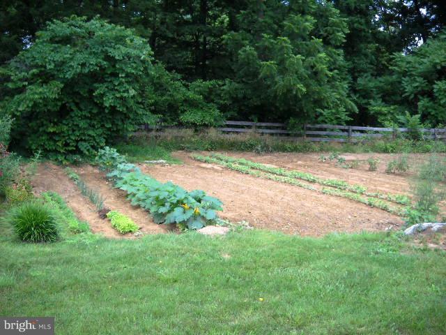 116 Stringtown Road Berryville, VA 22611 - Photo 7 of 29 Ample Garden