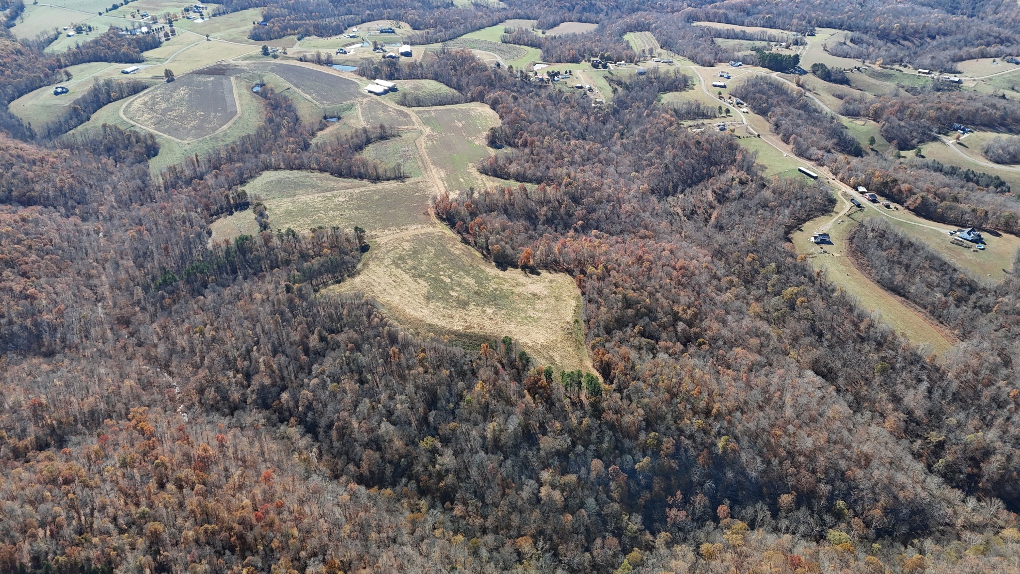 1911 Smalling Road Lafayette, TN 37083 - Photo 11 of 60 a close up of a tree in a forest