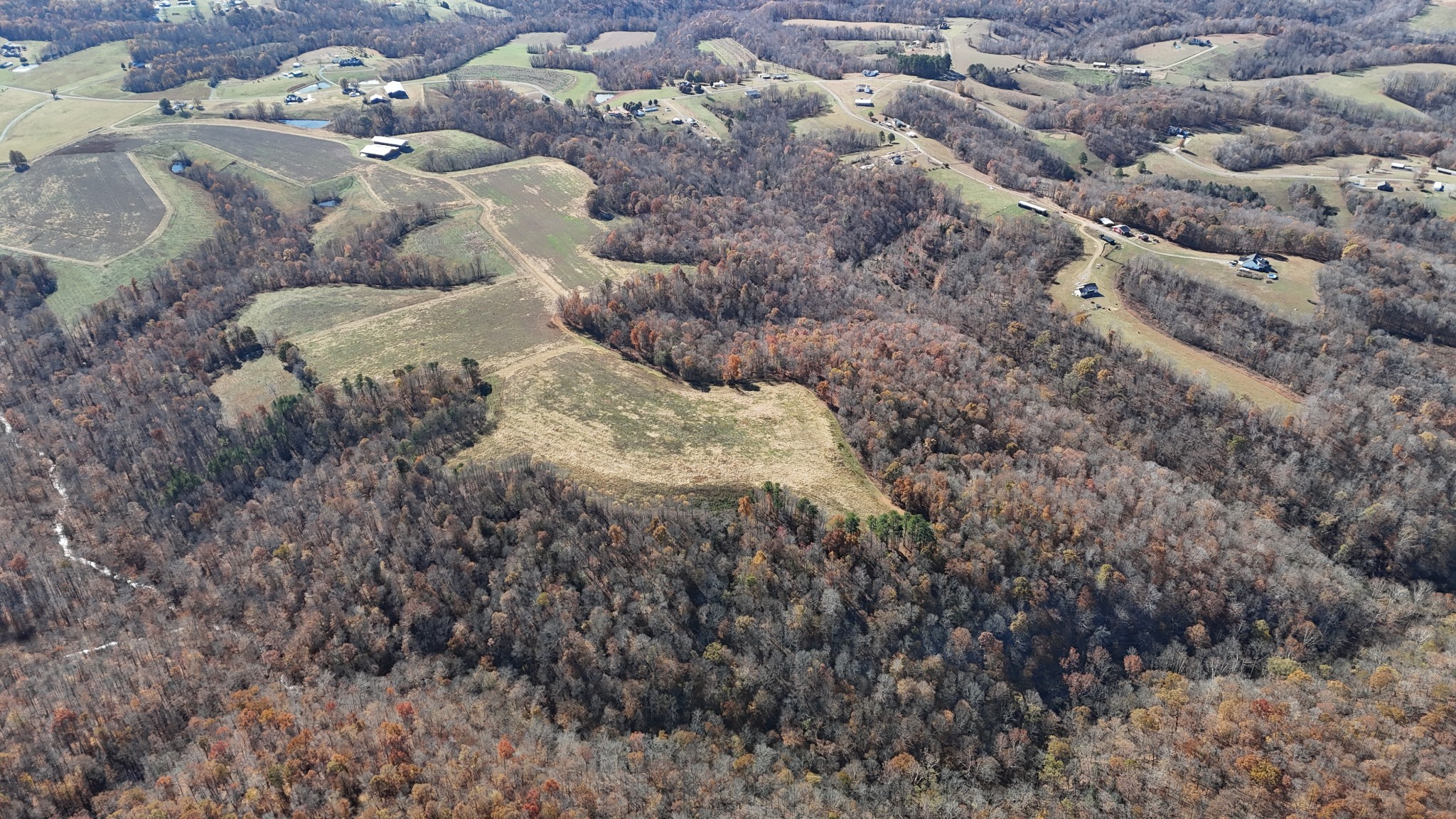 1911 Smalling Road Lafayette, TN 37083 - Photo 12 of 60 a close up of a bunch of trees