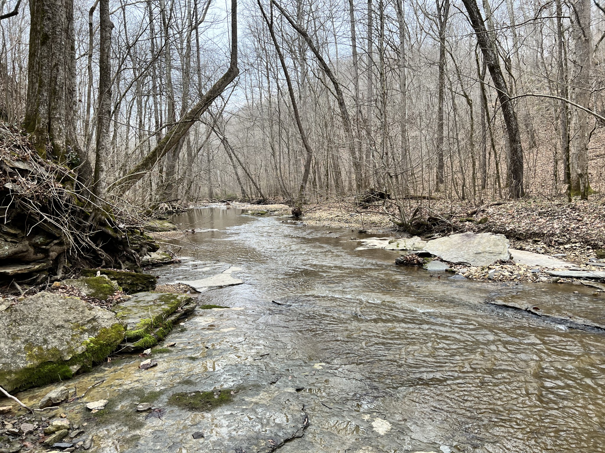 1911 Smalling Road Lafayette, TN 37083 - Photo 17 of 60 a view of a backyard of the house